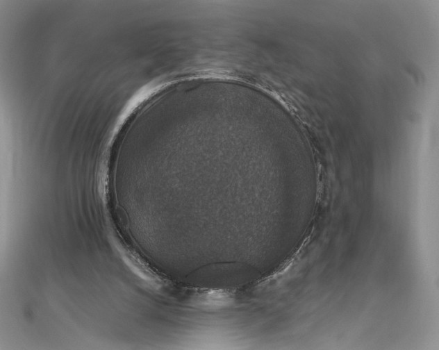 X0000112470056200908311358