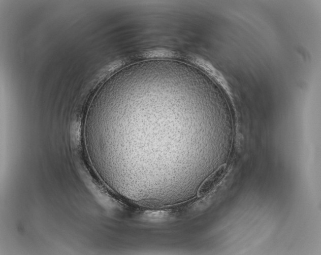 X0000112470057200908311358