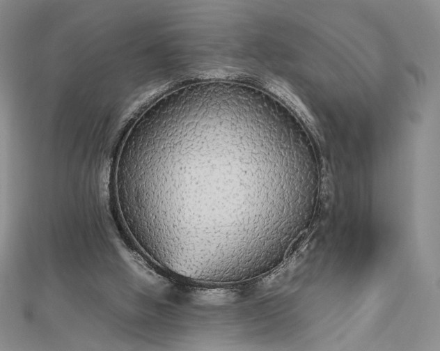 X0000112470058200908311358