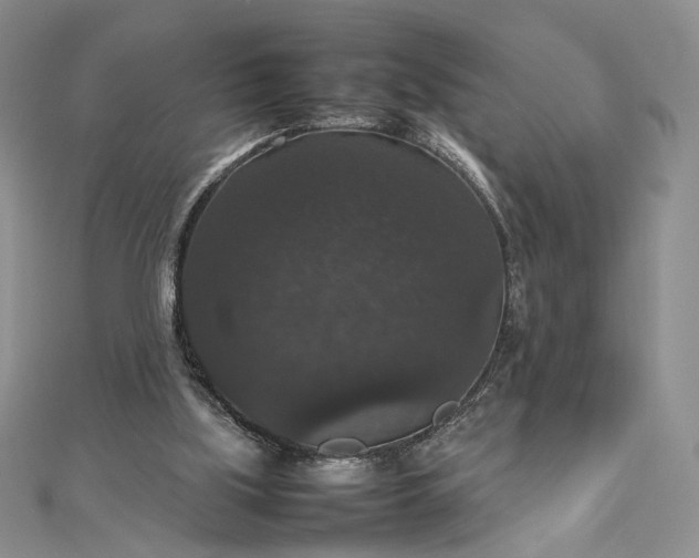 X0000112470059200908311358