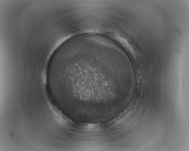 X0000112470060200908311358