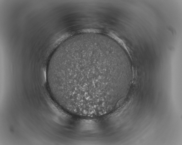 X0000112470061200908311358