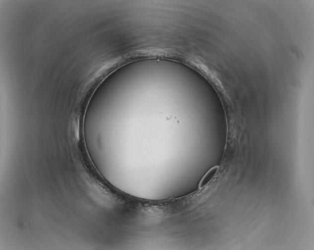 X0000112470062200908311358