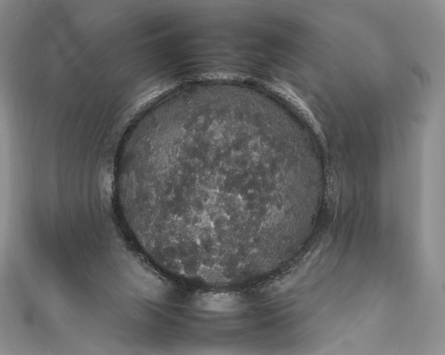 X0000112470063200908311358