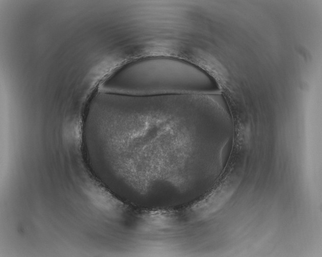 X0000112470064200908311358