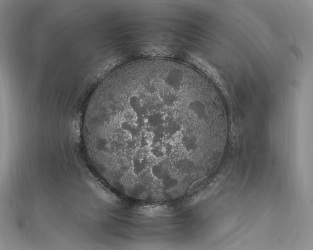 X0000112470065200908311358