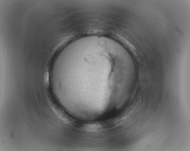 X0000112470067200908311358