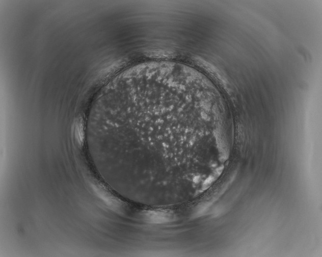 X0000112470069200908311358