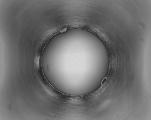 X0000112470070200908311358