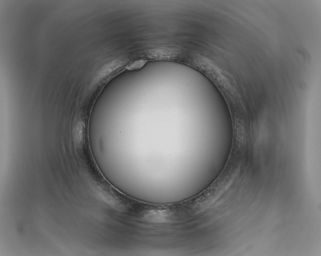 X0000112470071200908311358