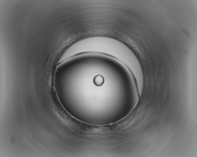 X0000112470072200908311358