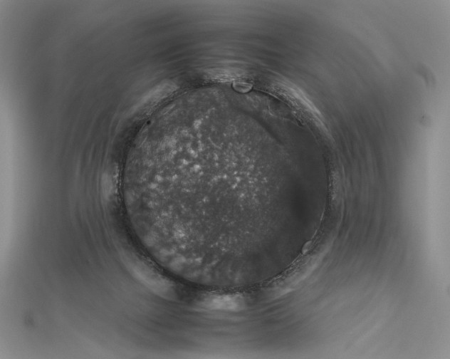 X0000112470073200908311358