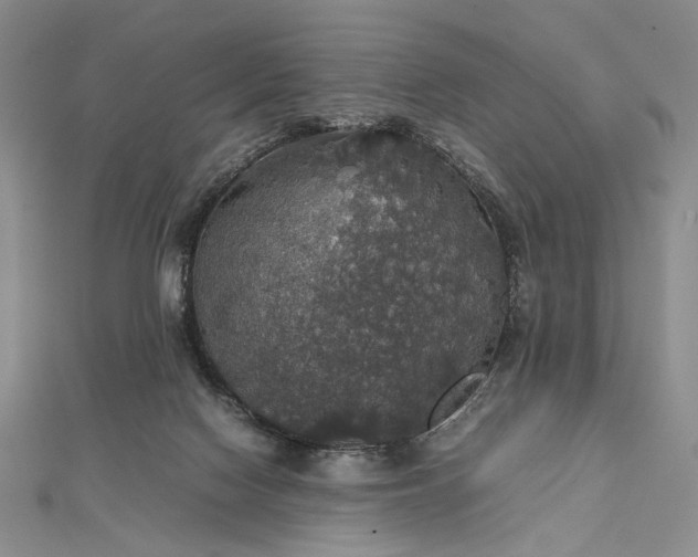 X0000112470074200908311358