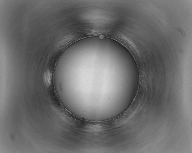 X0000112470075200908311358