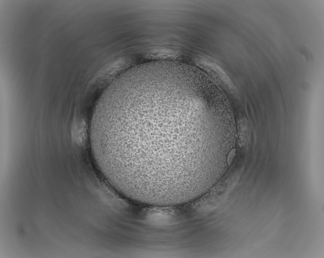 X0000112470077200908311358