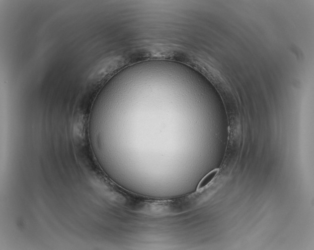 X0000112470078200908311358