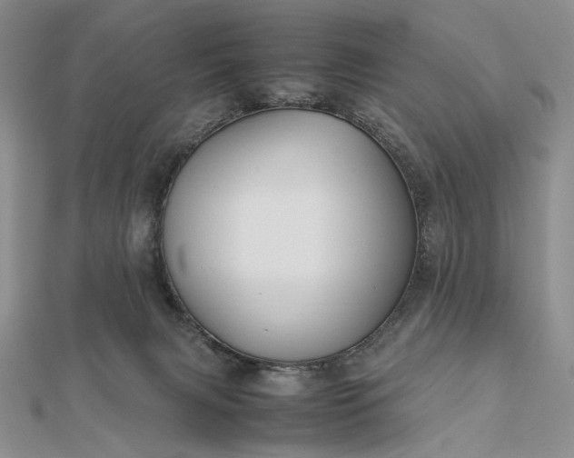 X0000112470079200908311358