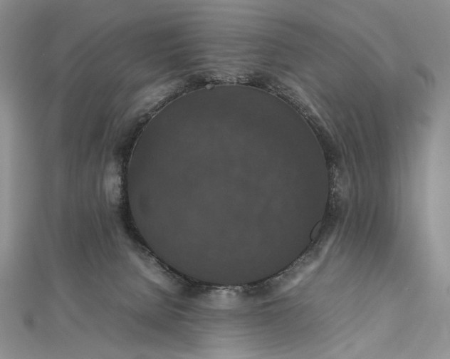 X0000112470080200908311358