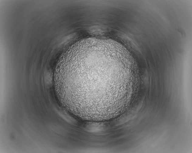 X0000112470081200908311358