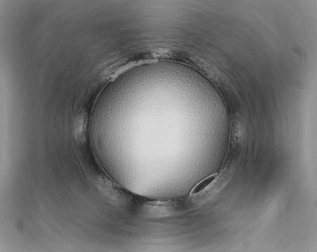 X0000112470082200908311359