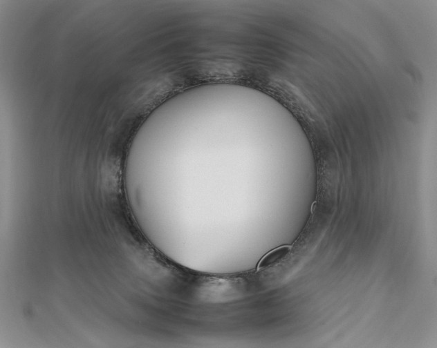 X0000112470083200908311359