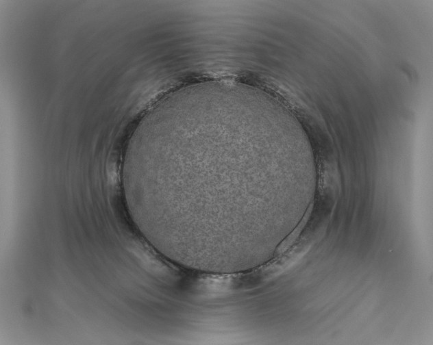 X0000112470084200908311359