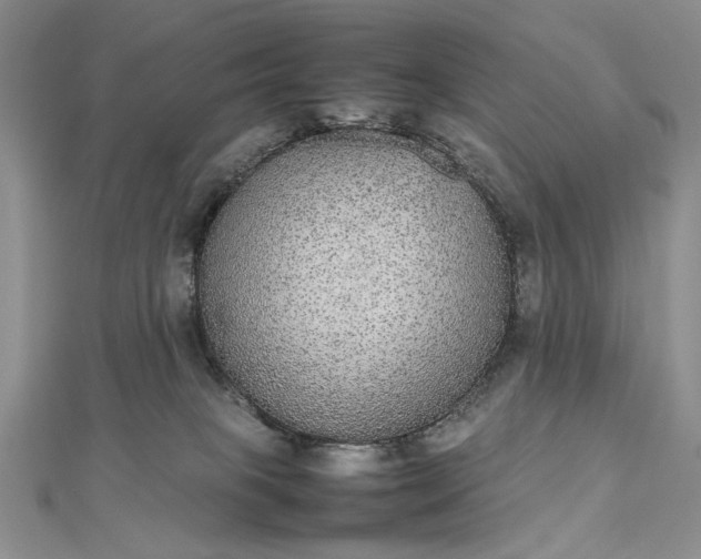 X0000112470085200908311359