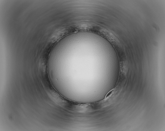 X0000112470086200908311359