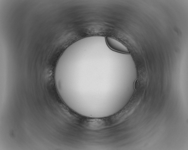 X0000112470087200908311359