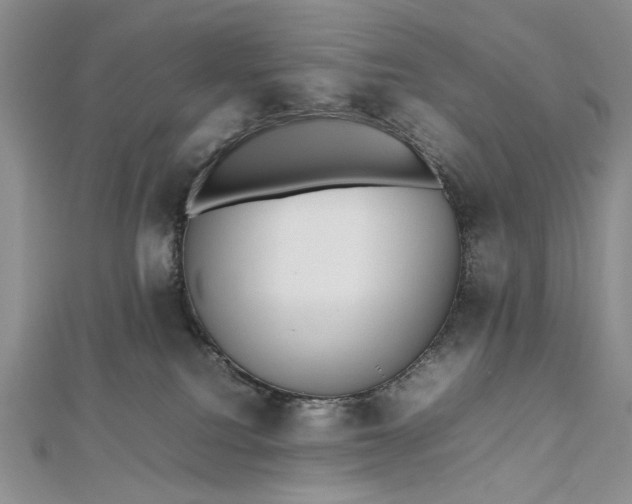 X0000112470088200908311359