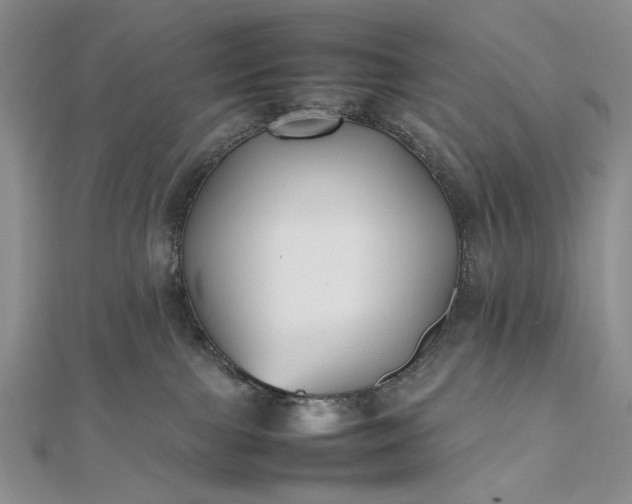 X0000112470091200908311359