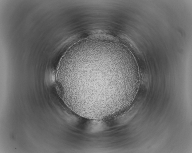 X0000112470095200908311359