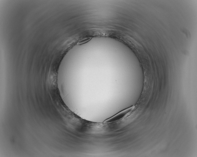 X0000112470096200908311359