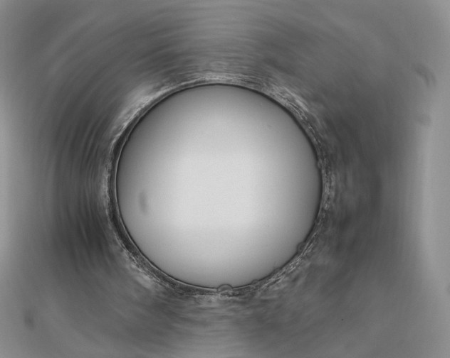 X0000112470098200908311358