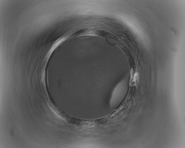 X0000112470099200908311358