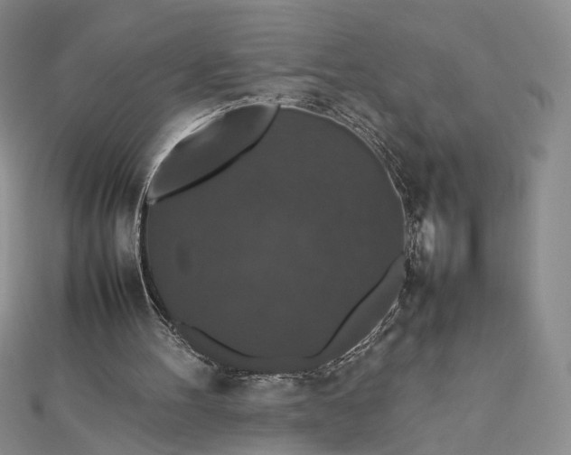 X0000112470100200908311358