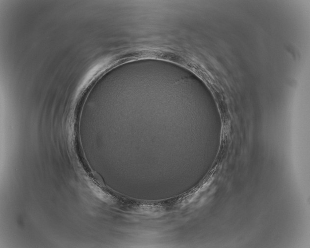 X0000112470101200908311358