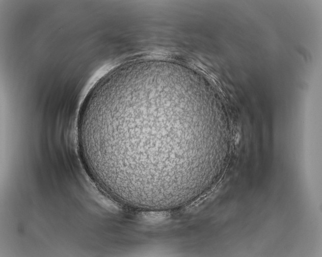 X0000112470102200908311358