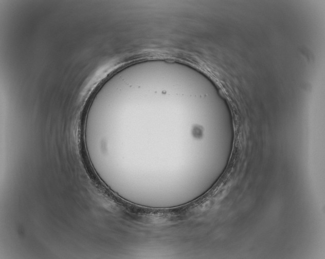 X0000112470103200908311358