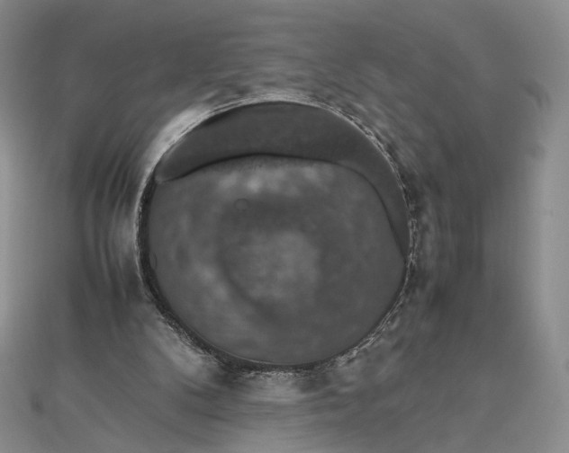 X0000112470104200908311358