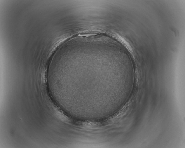 X0000112470105200908311358