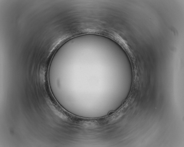 X0000112470106200908311358