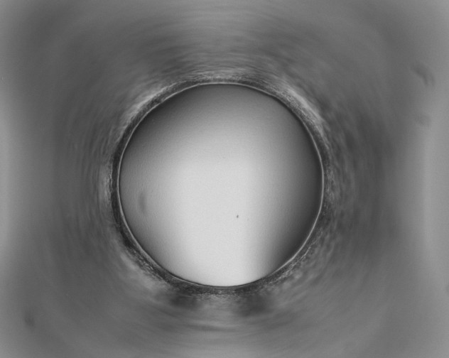 X0000112470107200908311358