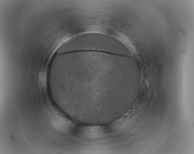 X0000112470108200908311358