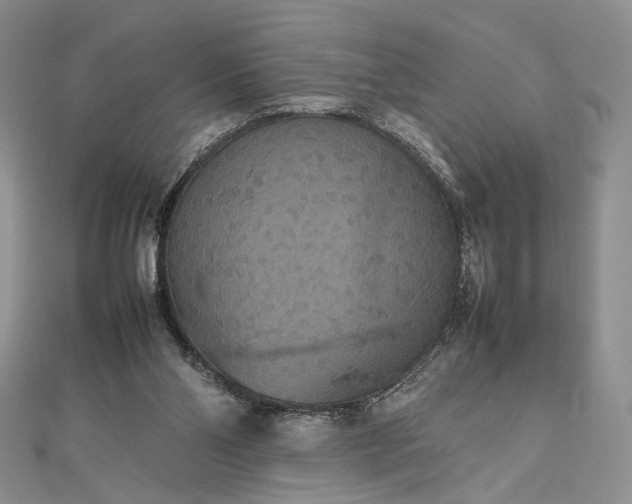 X0000112470110200908311358