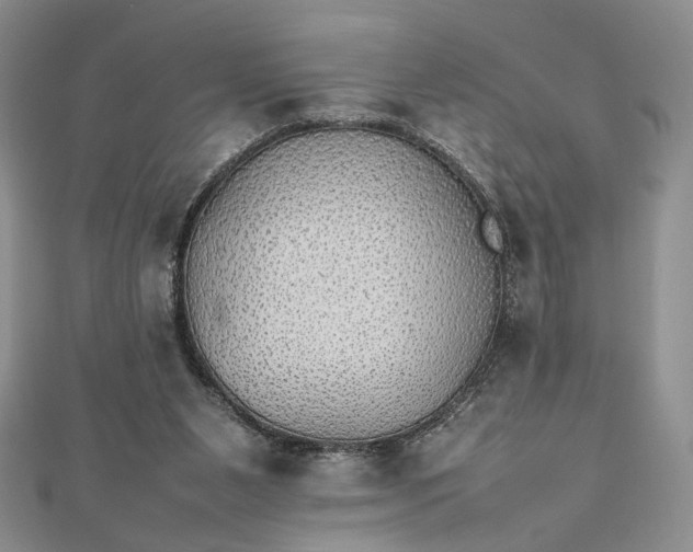 X0000112470111200908311358