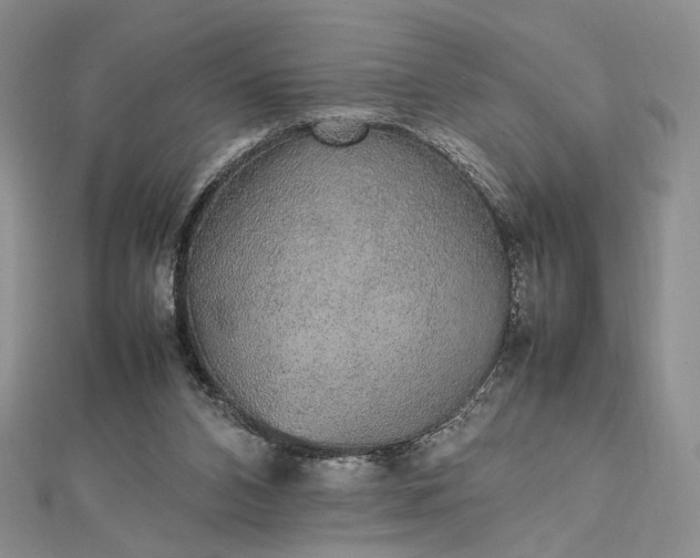 X0000112470112200908311358