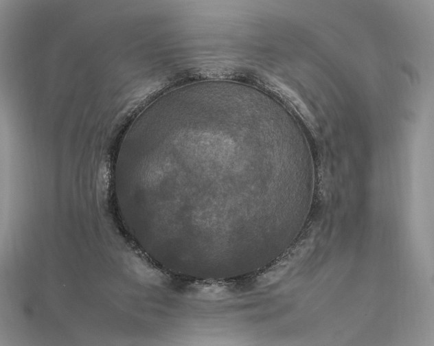 X0000112470113200908311358