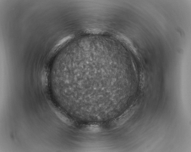 X0000112470114200908311358