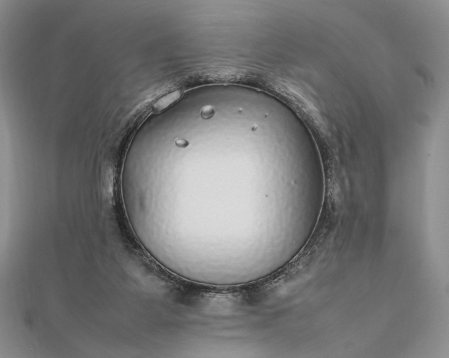 X0000112470115200908311358